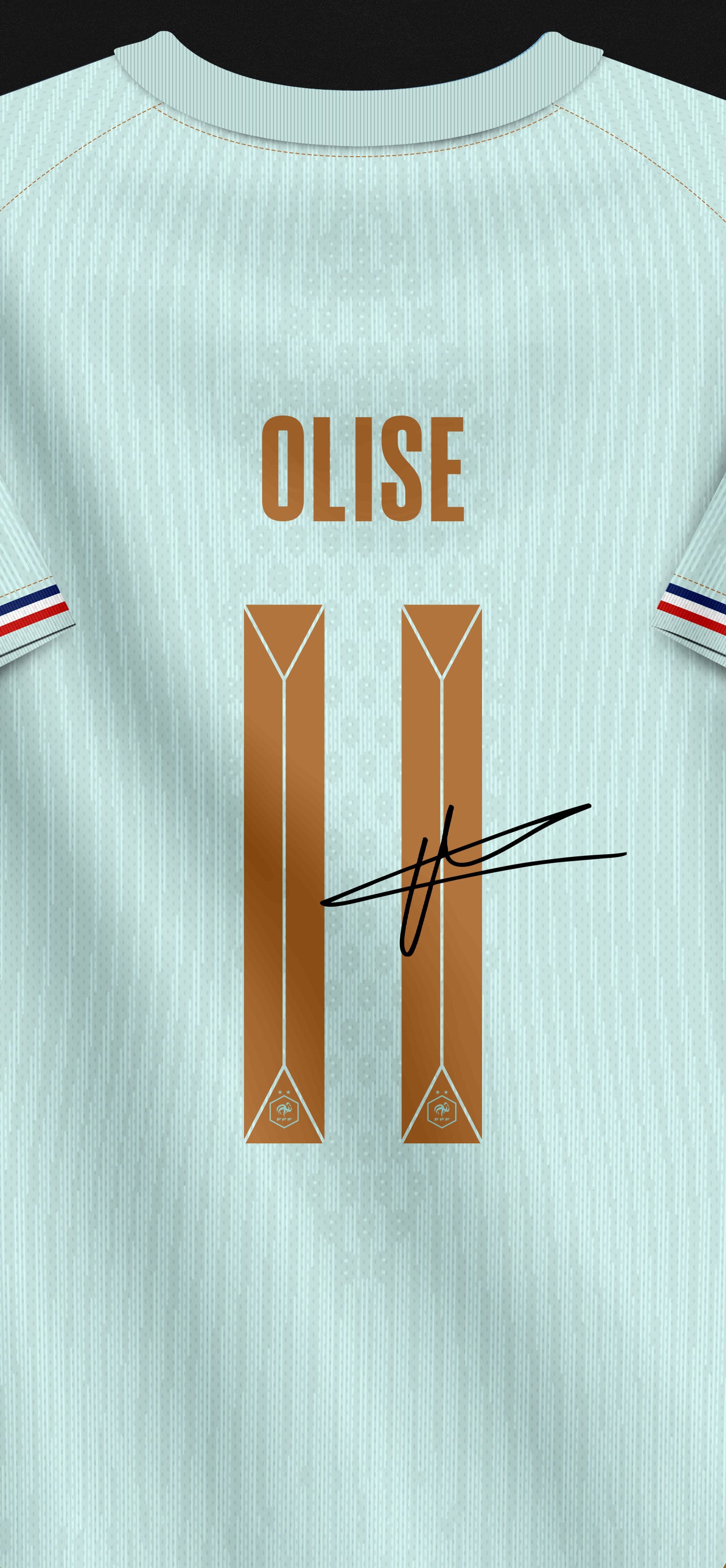 Fondo de Pantalla Francia Visitante