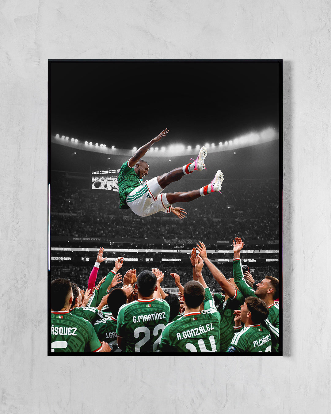 ¡Quiere Volar! - México 2026