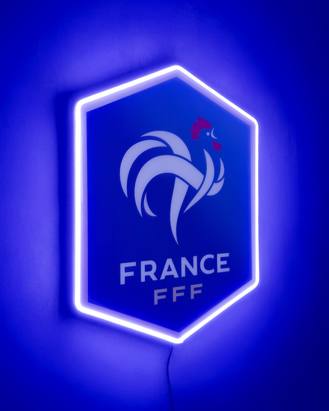 Escudo Selección Francesa