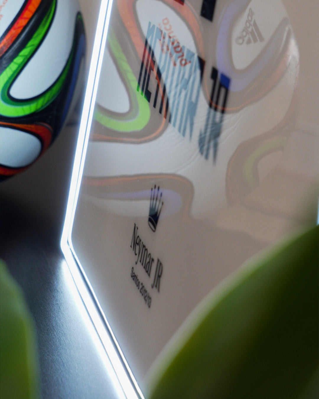 Santos 2012/13 Local - Dorsal