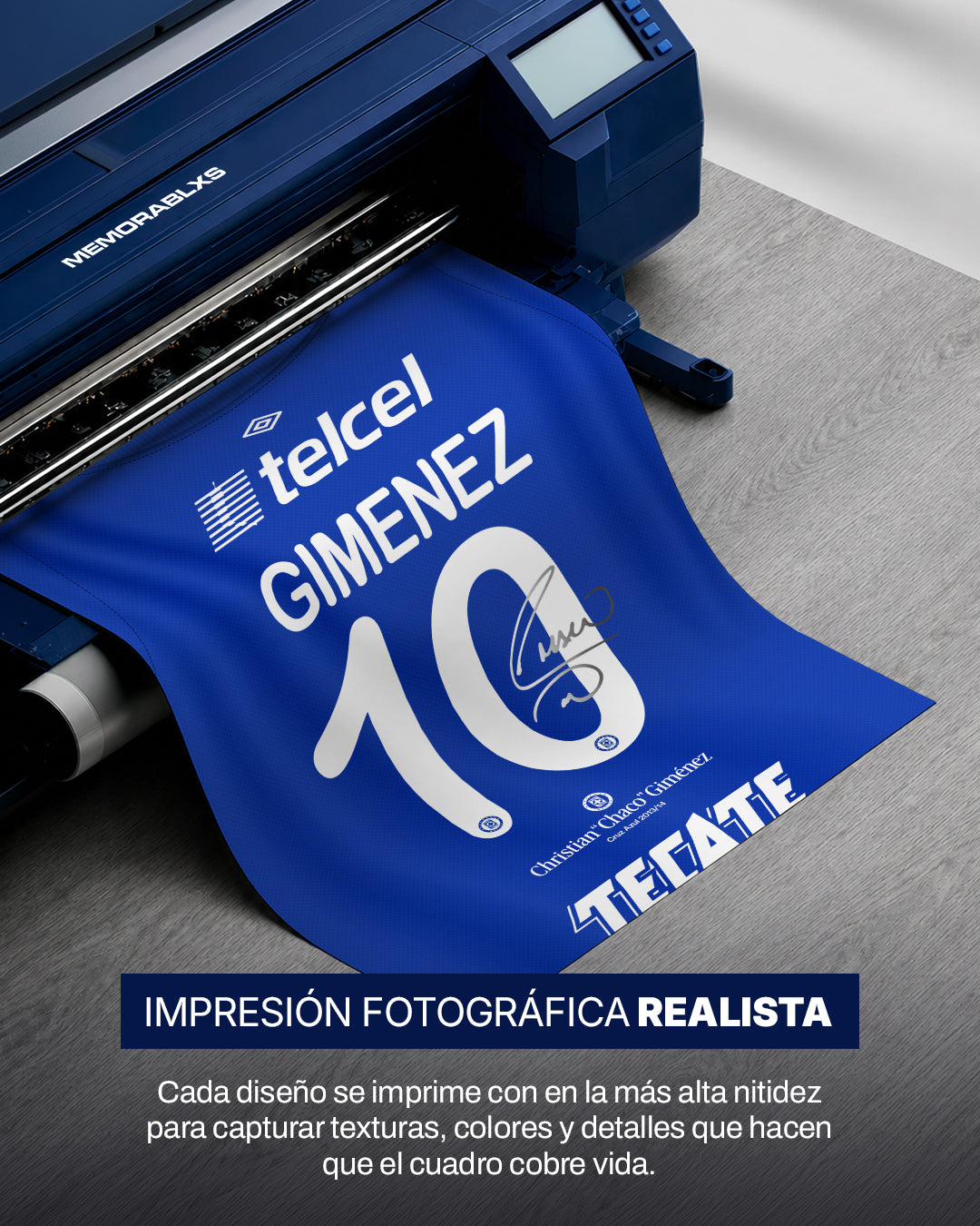 Cruz Azul 2013/14 - Diseño Dorsal