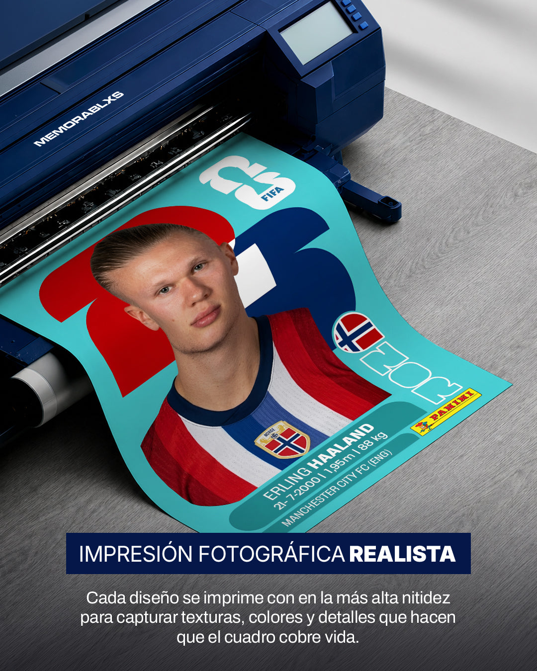 Erling Haaland - Sticker 2026