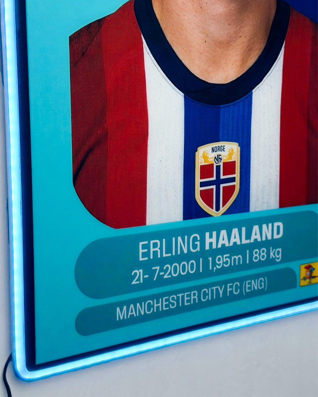 Erling Haaland - Sticker 2026
