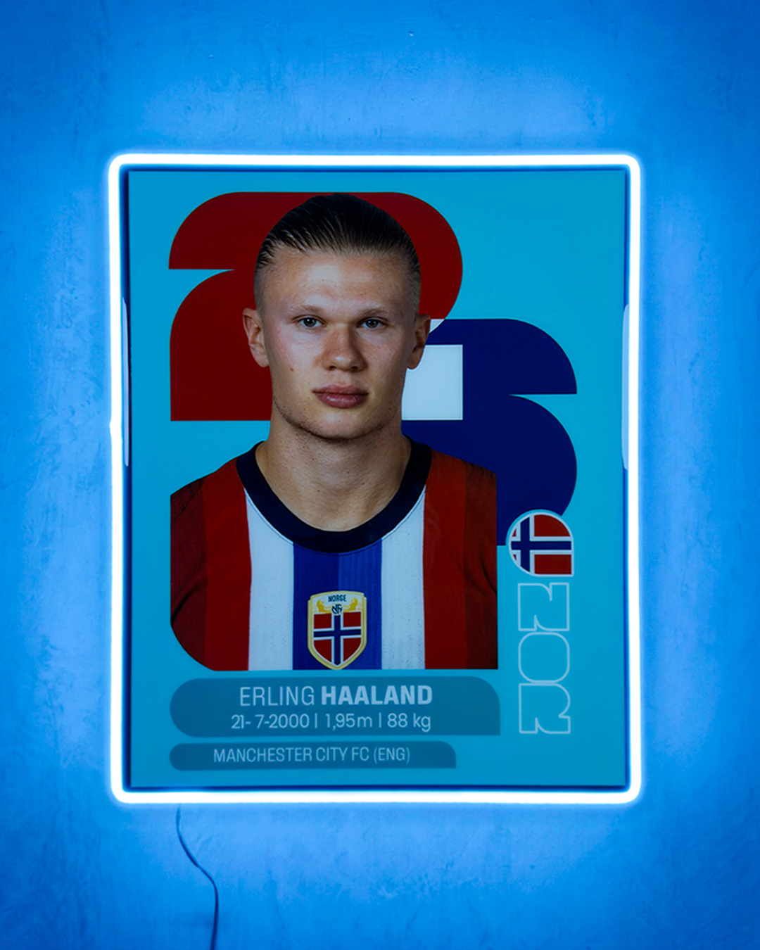 Erling Haaland - Sticker 2026