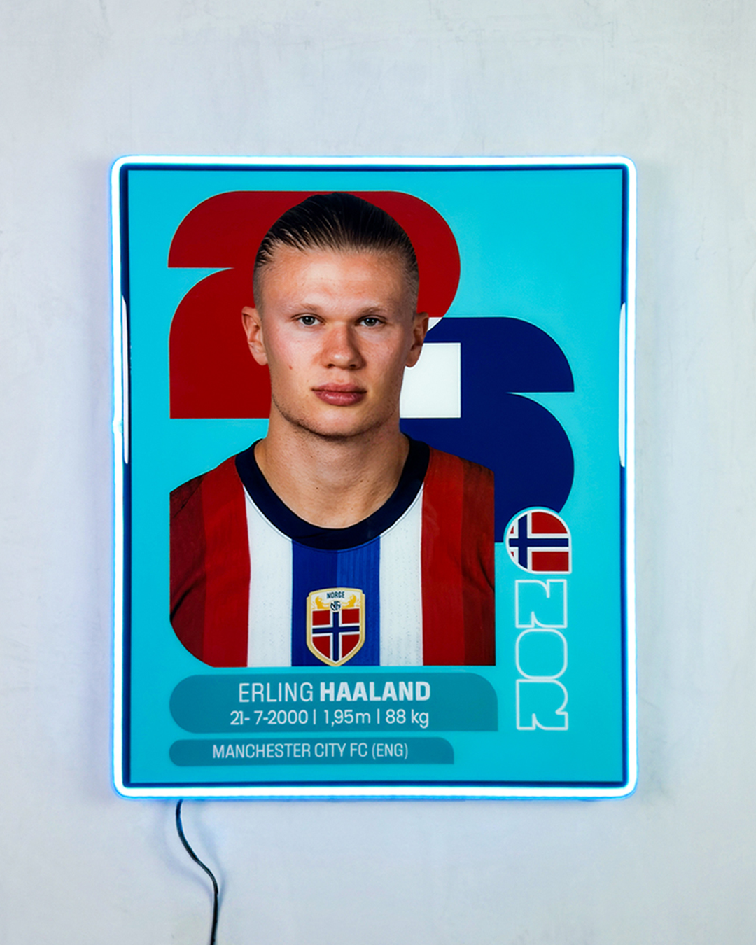 Erling Haaland - Sticker 2026